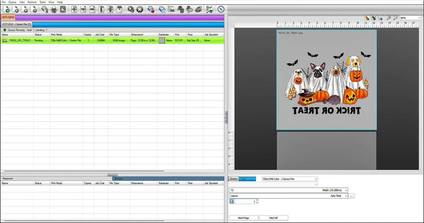 Gang Sheet DTF Transfers